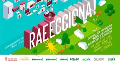 Campaña RAEEcciona